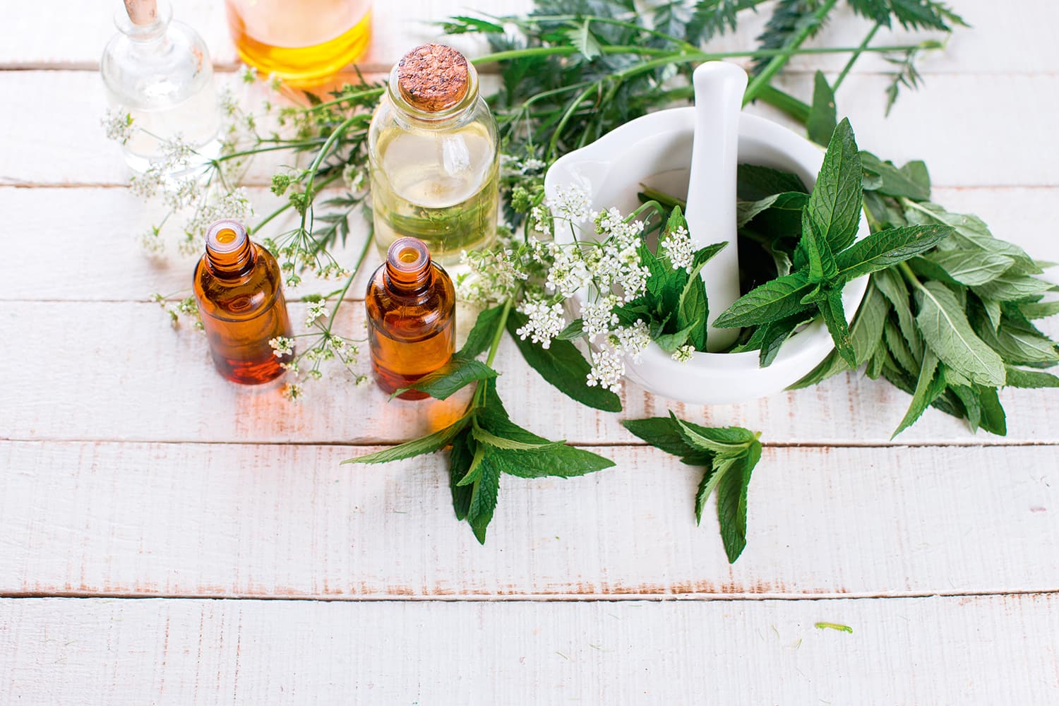 verschiedene kleine Flaschen und Kräuter in einem Tiegel