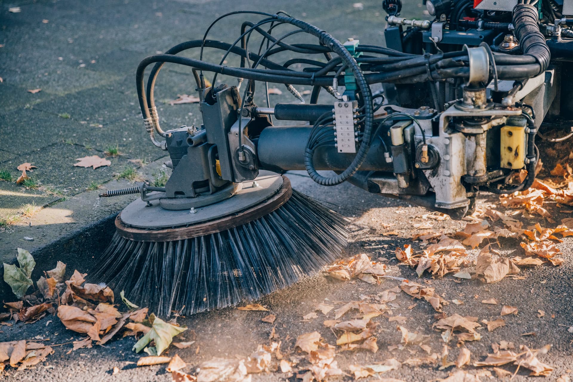 Ein Tellerbesen einer Kehrmaschine fegt Laub aus dem Rinnstein auf die Straße