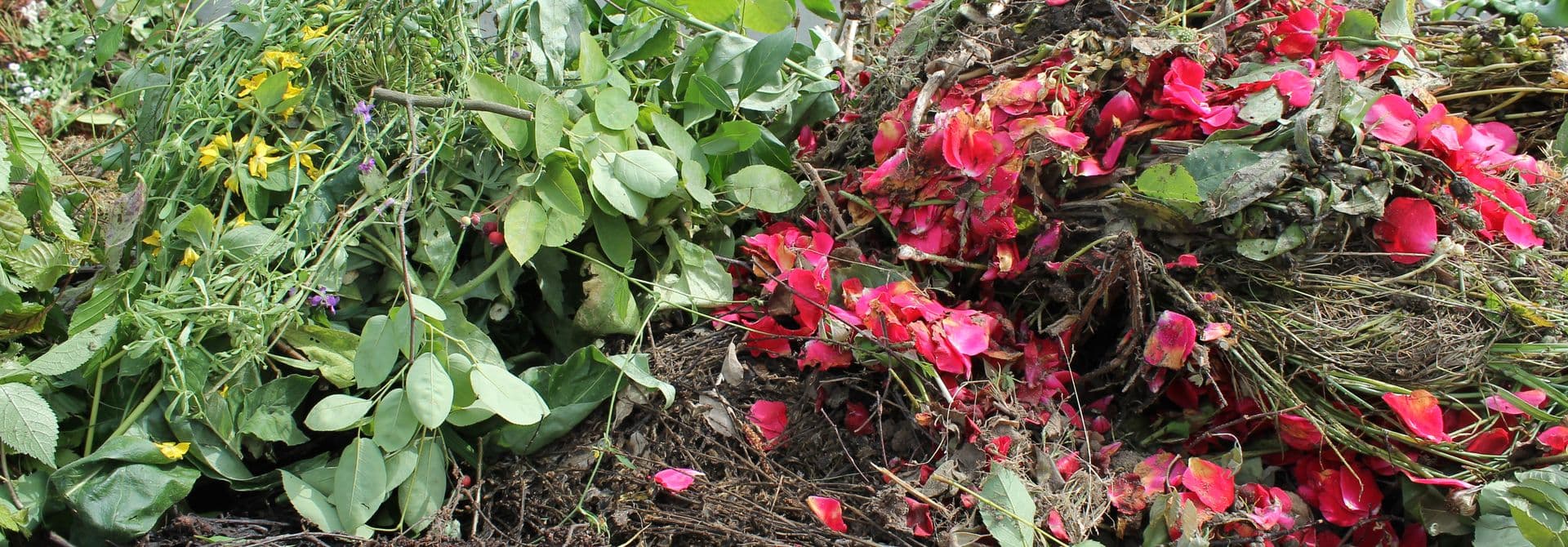 Grünabfälle, Strauchschnitt im Container
