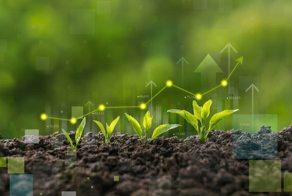 Kleine Pflanzen wachsen aus brauner Erde, Messeinheiten sind dargestellt.