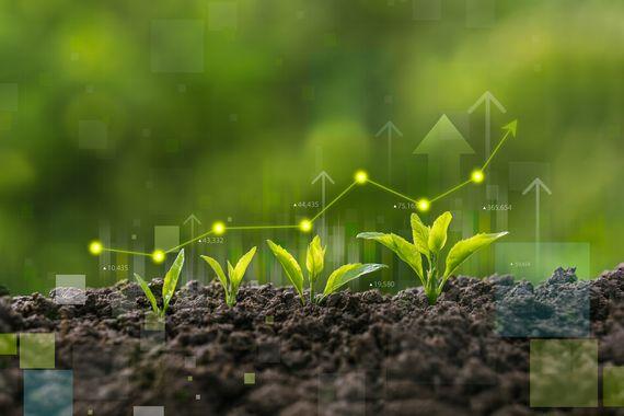 Umweltdaten Kleine Pflanzen wachsen aus brauner Erde, Messeinheiten sind dargestellt.