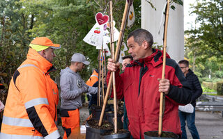 Obstbaumausgabe Oktober 2024